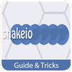 Guide for Snake.io
