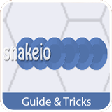 Guide for Snake.io icono