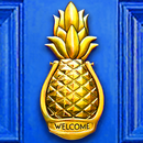 The Doles APK