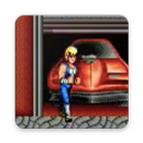 Double Dragon sega included cheats APK