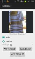 TheDress Plakat