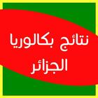 نتائج بكالوريا 2017 الجزائر biểu tượng
