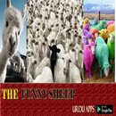 Gallery Funny Sheep APK