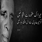 jaun elia shayari (poetry by john elia) icône