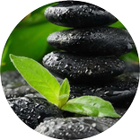 Bamboo Dark CM Theme