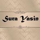Surah Yasin - Audio APK