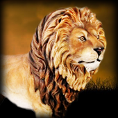 Real Angry Lion attack Free icon