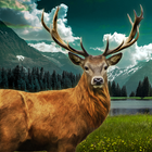 Deer Hunt 2016 icône