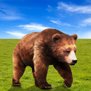 Hungry Bear Attack APK