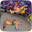 Wrestling WWE Revolution Mayhem Superstar Fighters