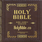 The Holy Bible Official App 圖標