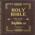 The Holy Bible Official App simgesi