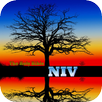 The Holy Bible - NIV APK