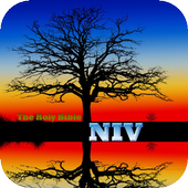 The Holy Bible - NIV icono