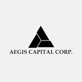 2015 Aegis Conference أيقونة