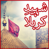 Shaheed-e-Karbala icône