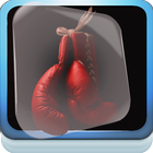 Cool Boxing Live Wallpaper icon