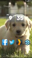 Cute Labrador Puppies Live WP screenshot 2