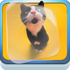 Kittens Dancing Live Wallpaper icon