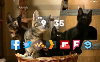 gatitos baile Live Wallpaper captura de pantalla 3