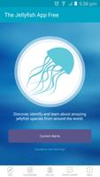 The Jellyfish App Lite plakat