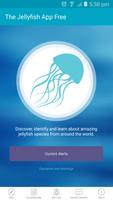 پوستر The Jellyfish App Lite