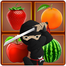 Fruit Blade Ninja APK