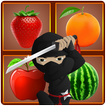Fruit Blade Ninja