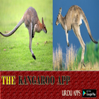 Screen kangaroo icon