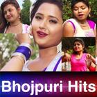 BhojpuriHits 2017: Bhojpuri Arkestra, HD Video-icoon