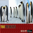 Screen of Penguin life APK