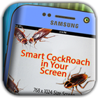 Cockroach on screen Prank App icône