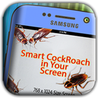 Cockroach on screen Prank App icon