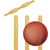 Ruby Cricket APK
