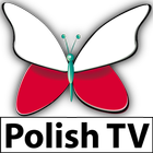 Poland TV-icoon