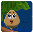 Pou Bird 2017 APK