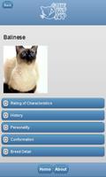The Cat App स्क्रीनशॉट 1