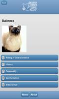 The Cat App screenshot 1