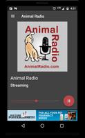 Animal Radio الملصق