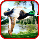 Sniper Duck Hunting APK