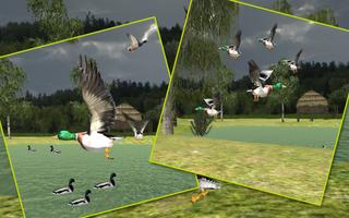 Sniper Duck Hunting plakat