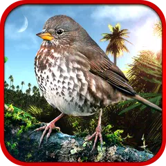 Sparrow Hunting APK download