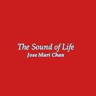 The Sound of Life Lyrics ícone