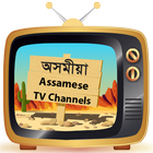 Assamese TV Channels icône