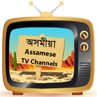 Assamese TV Channels آئیکن