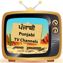 Punjabi TV All Channels APK