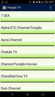 Punjabi TV All Channels capture d'écran 3