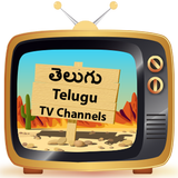 All Telugu TV Channels Live HD icône