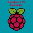 Raspberry Pi Examples
