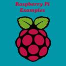 APK Raspberry Pi Examples